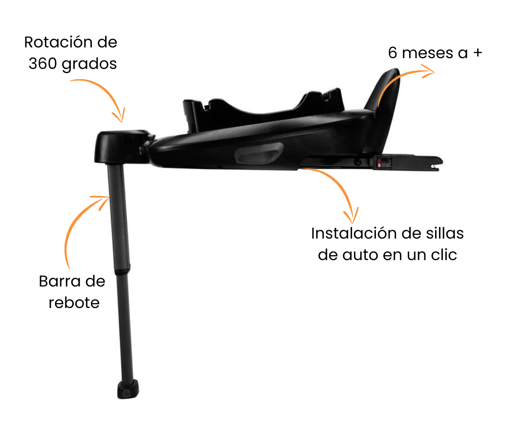 Características