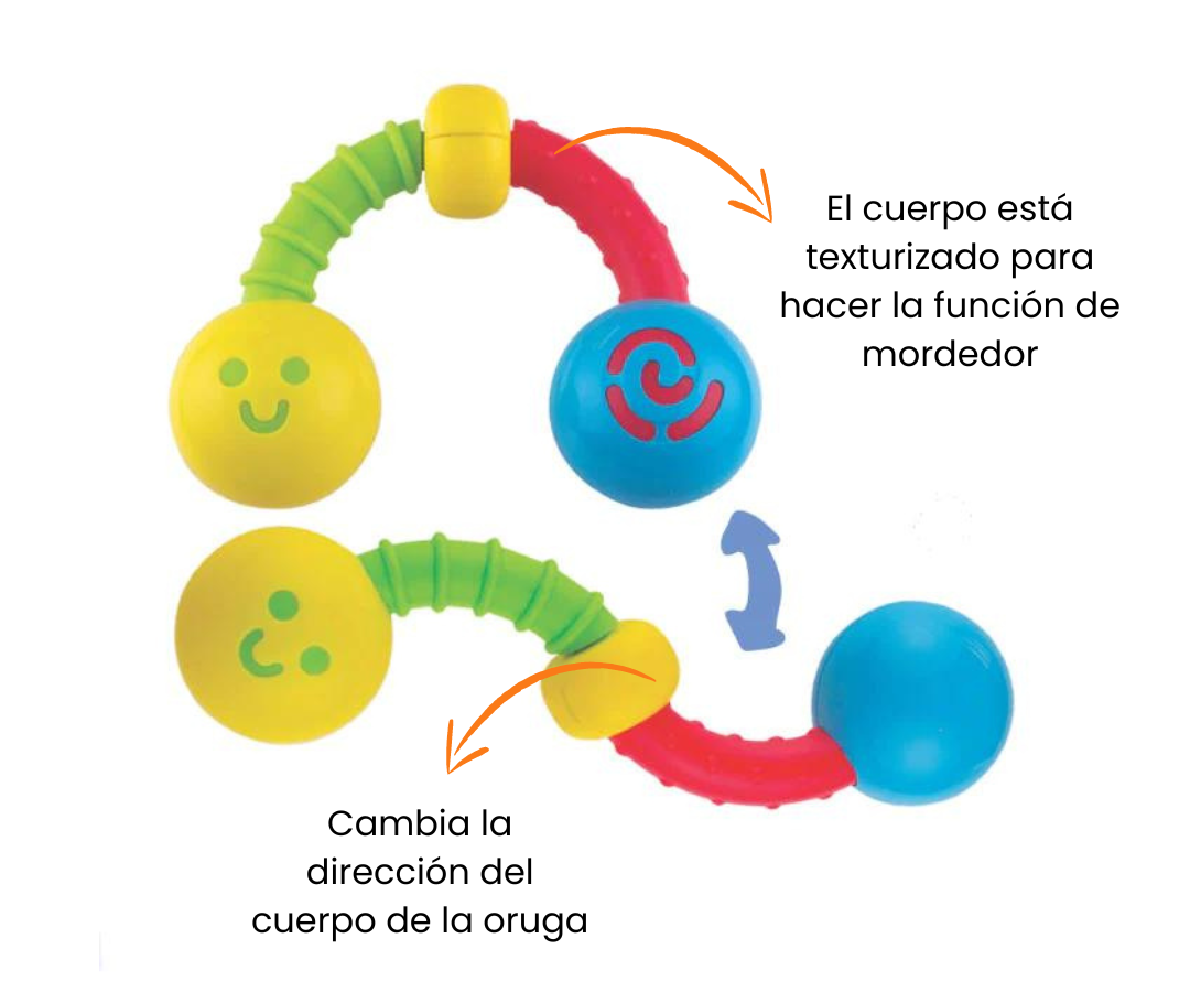 Características