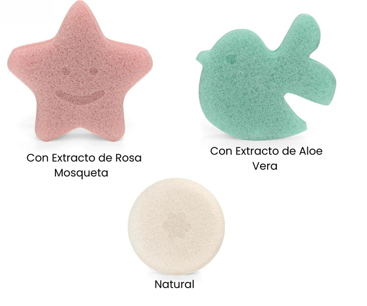 Características
