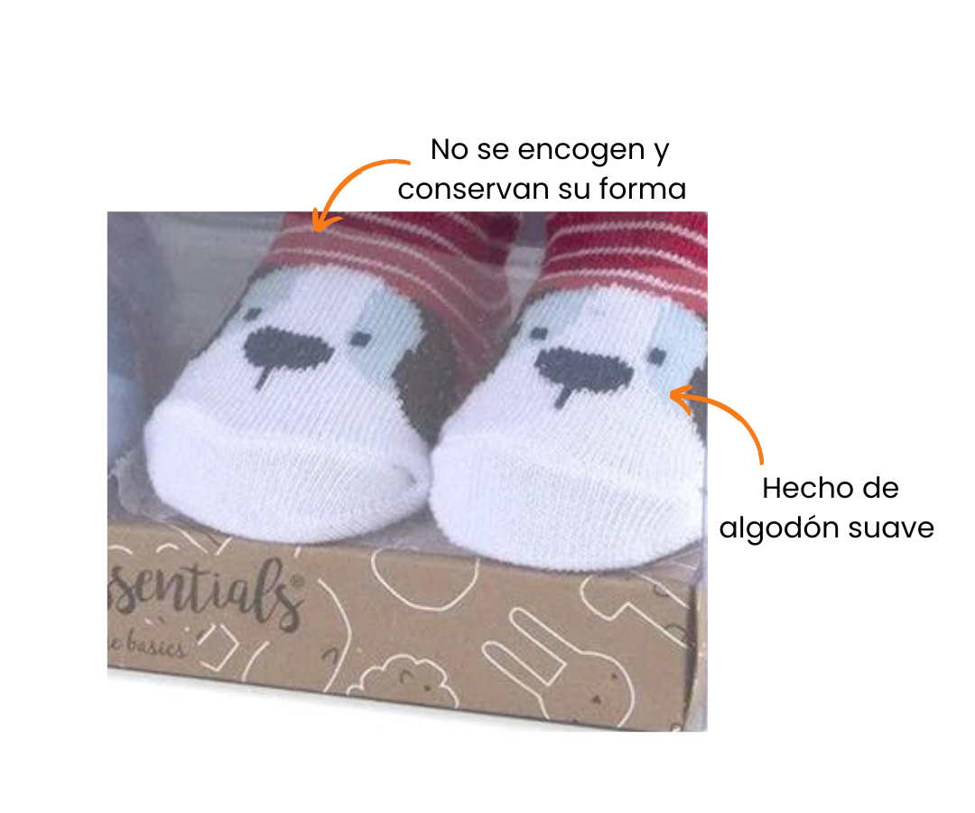 Características