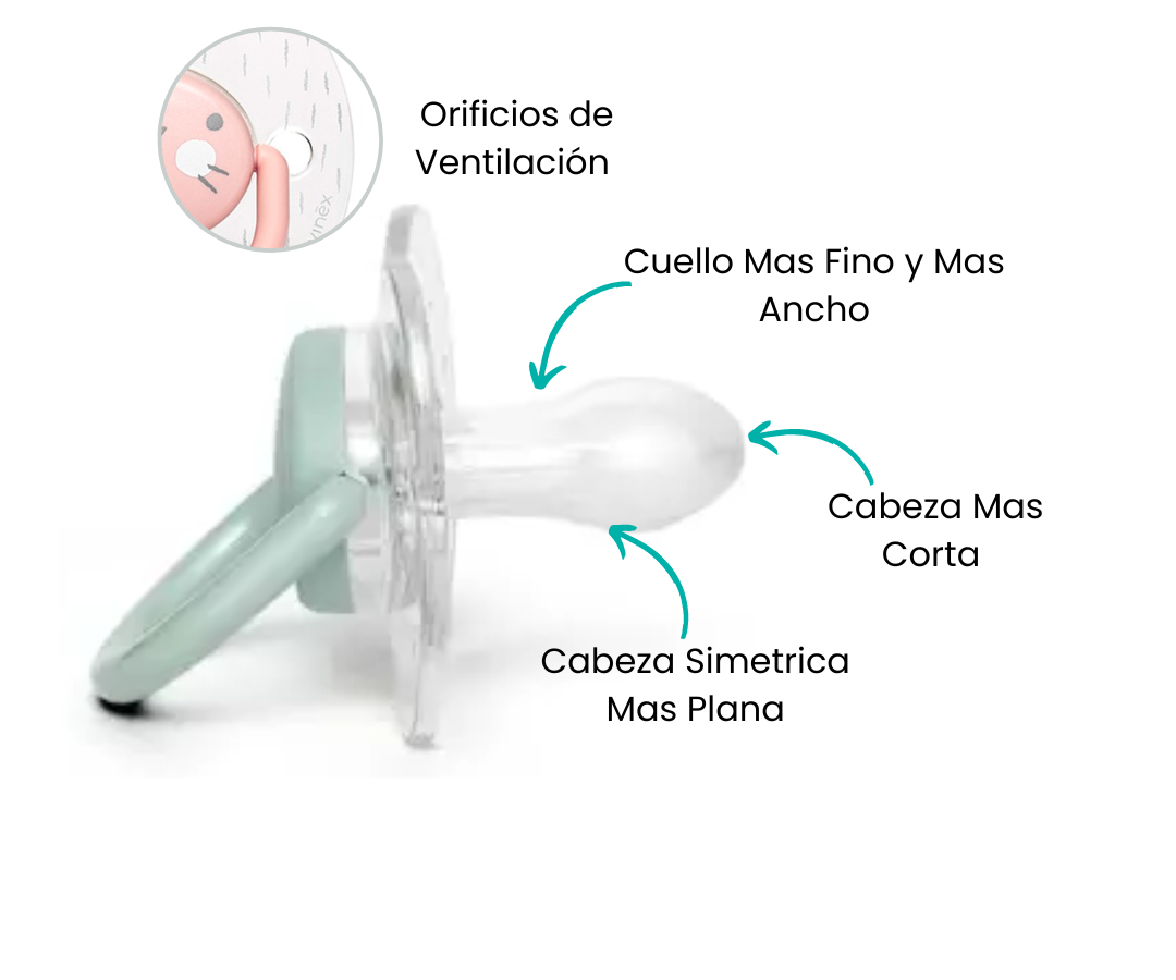 Características