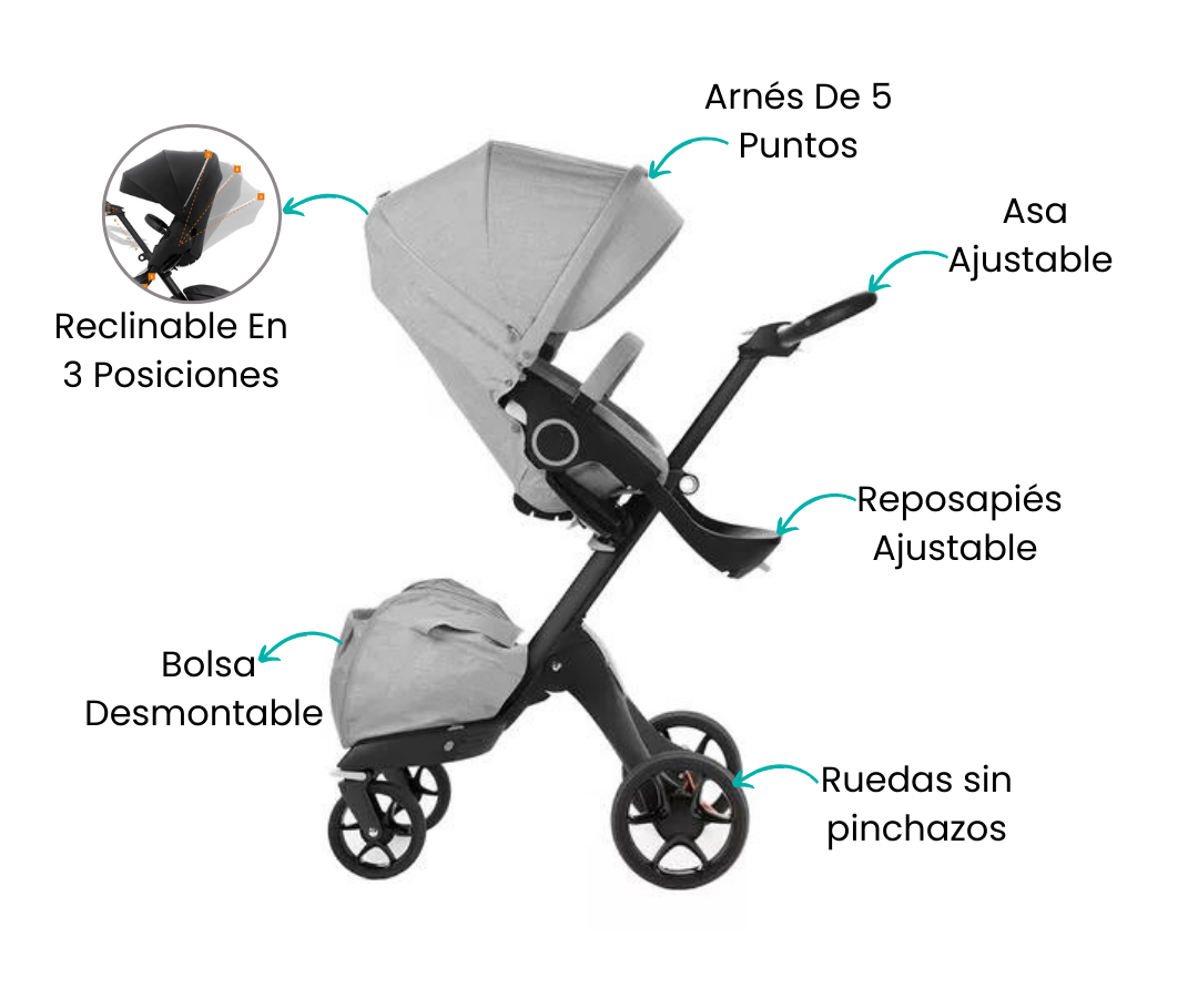 Características