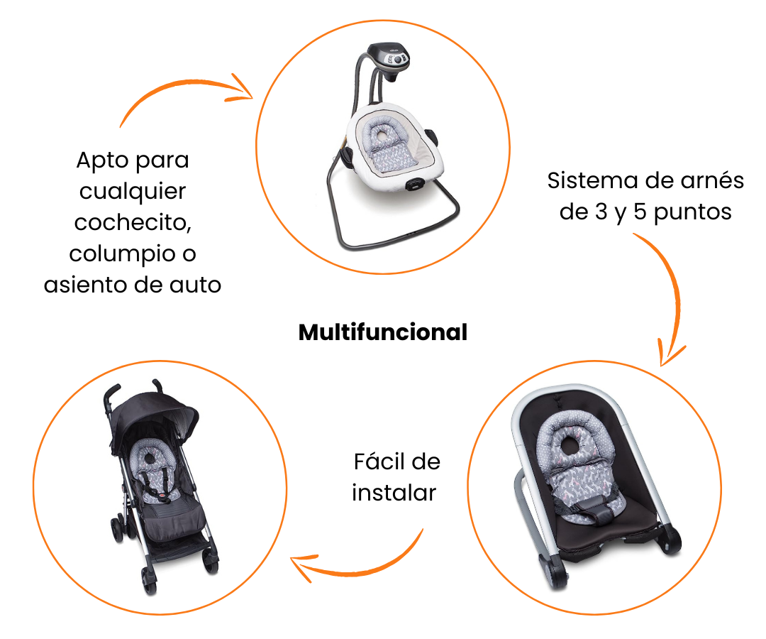 Características