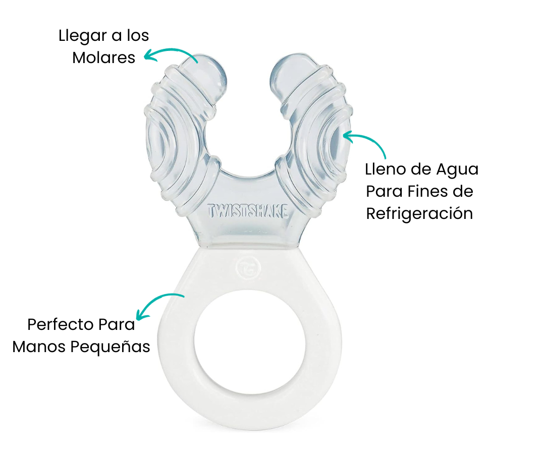 Características