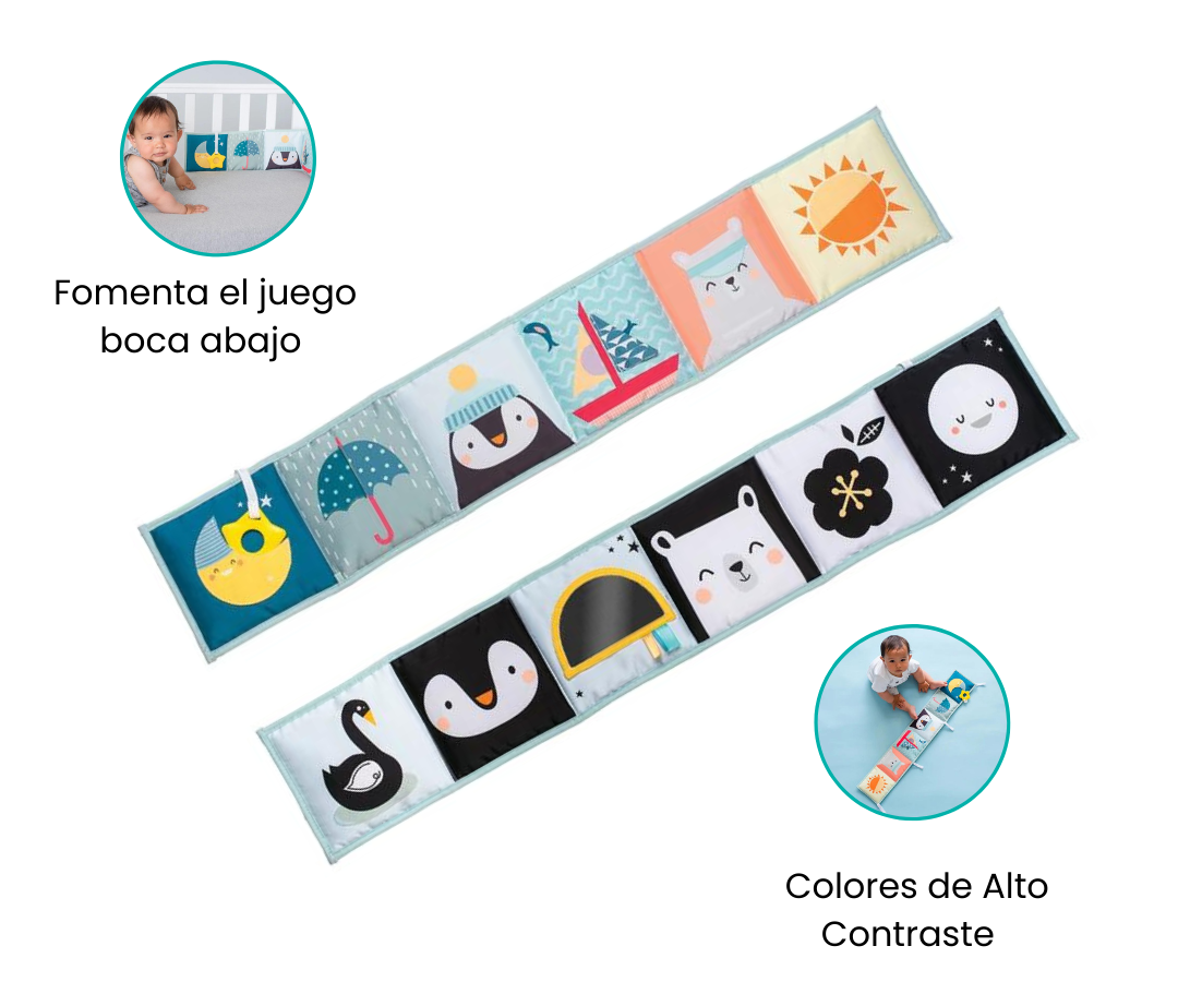 Características