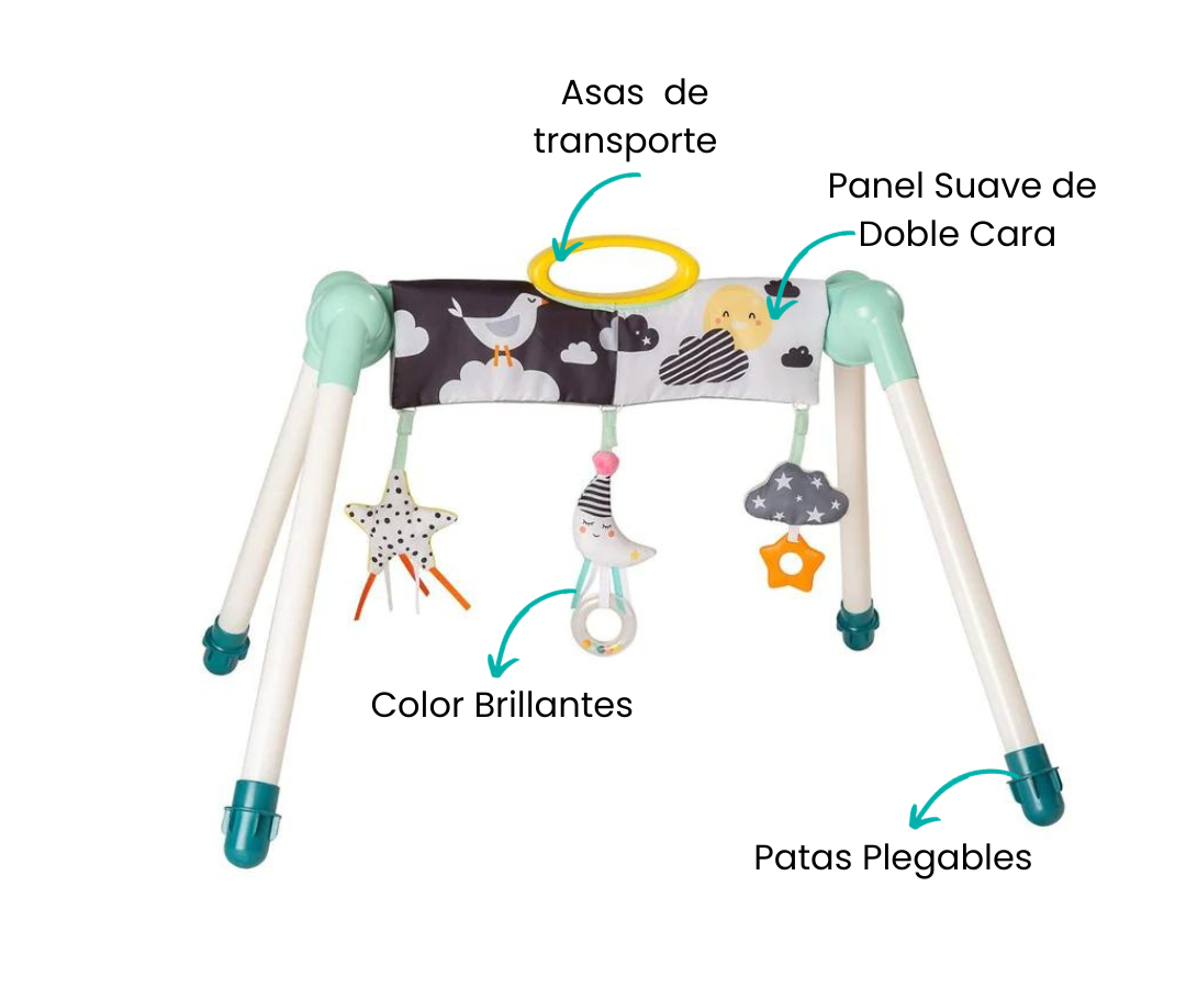 Características