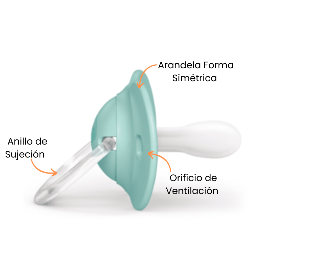 Características