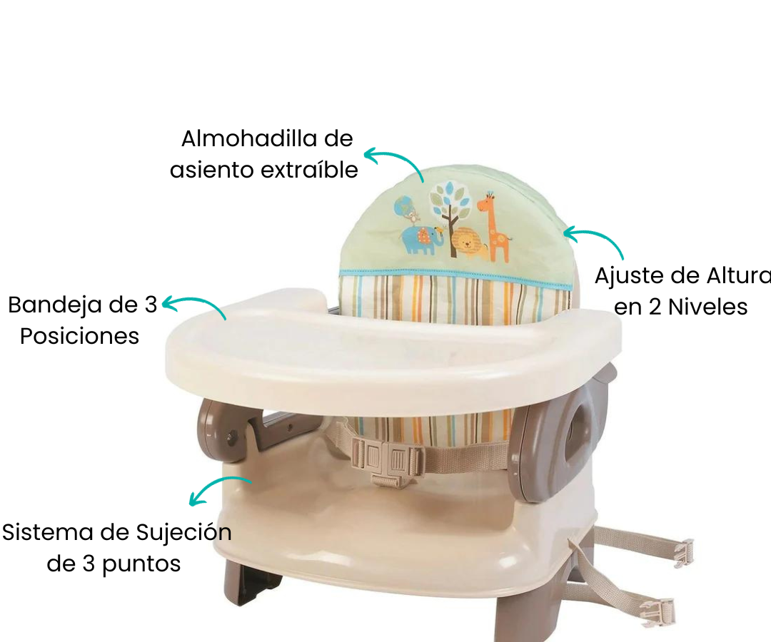 Características