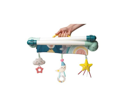 MINI LUNA BABY GYM TAF TOYS