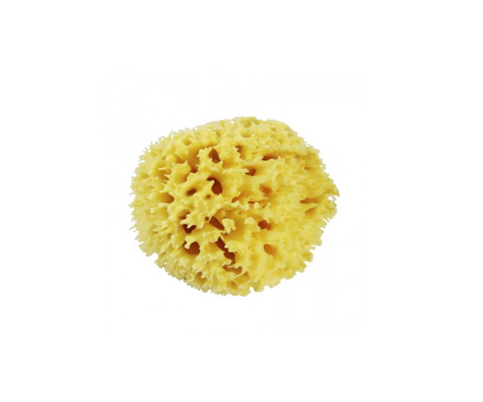 ESPONJA NATURAL GRANDE AMARILLA PIGEON