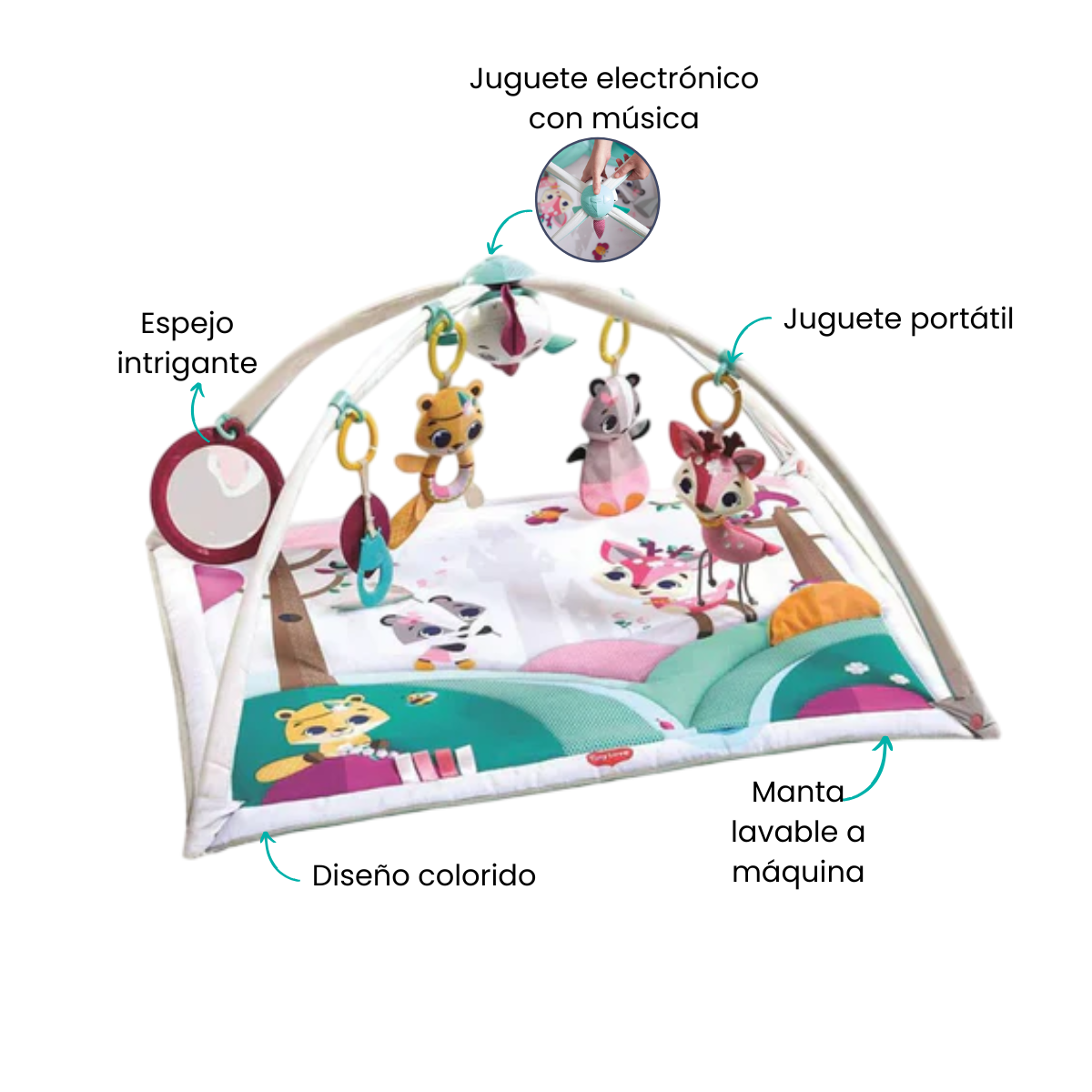 Características