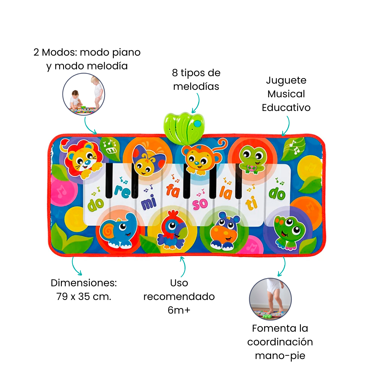 Características