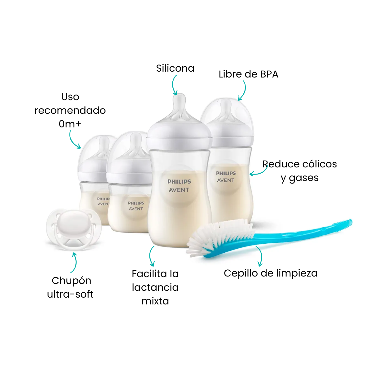 Características
