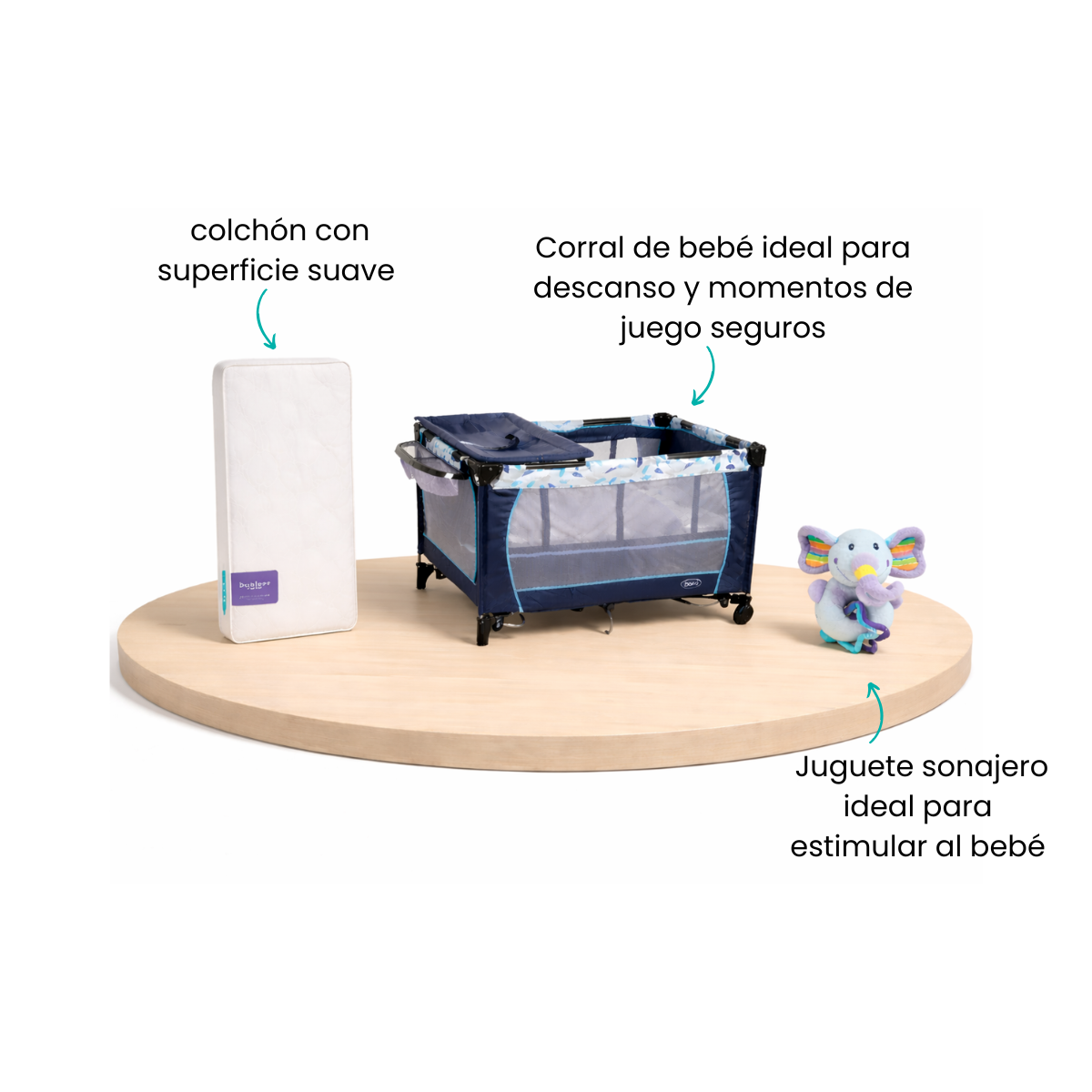 Características