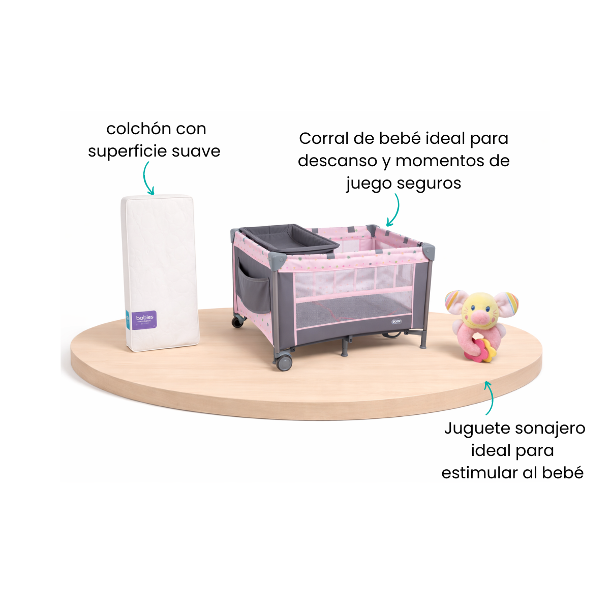 Características