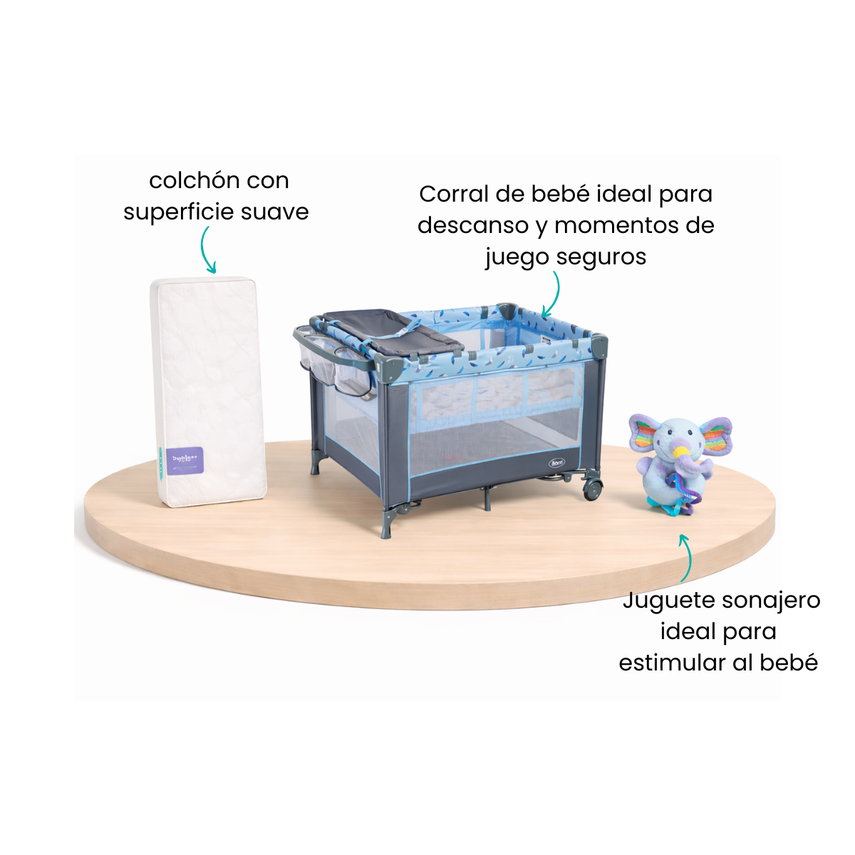 Características