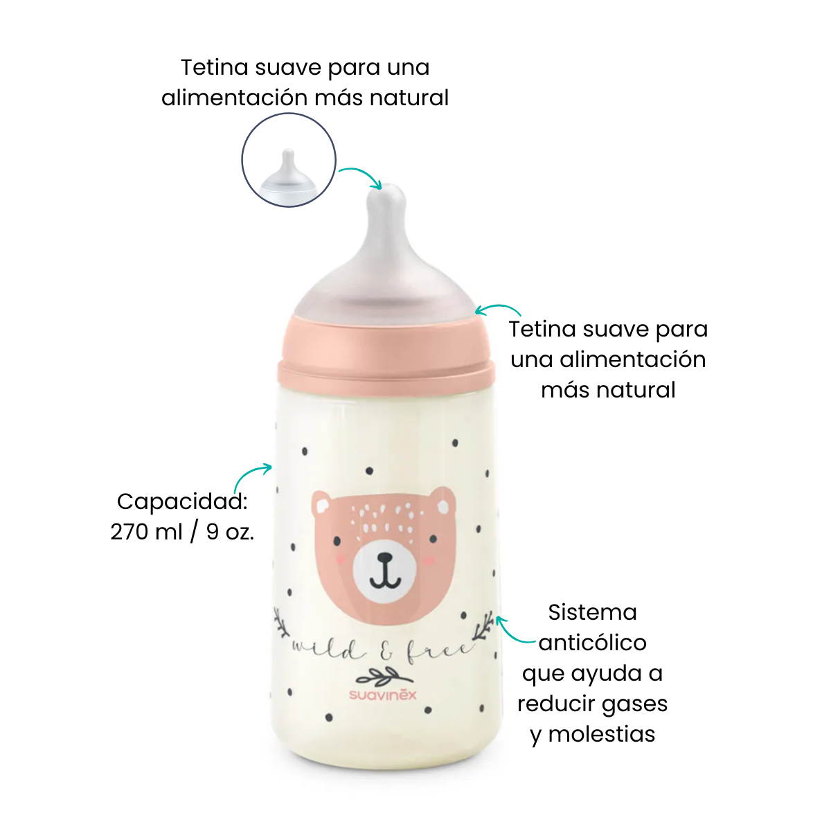 Características