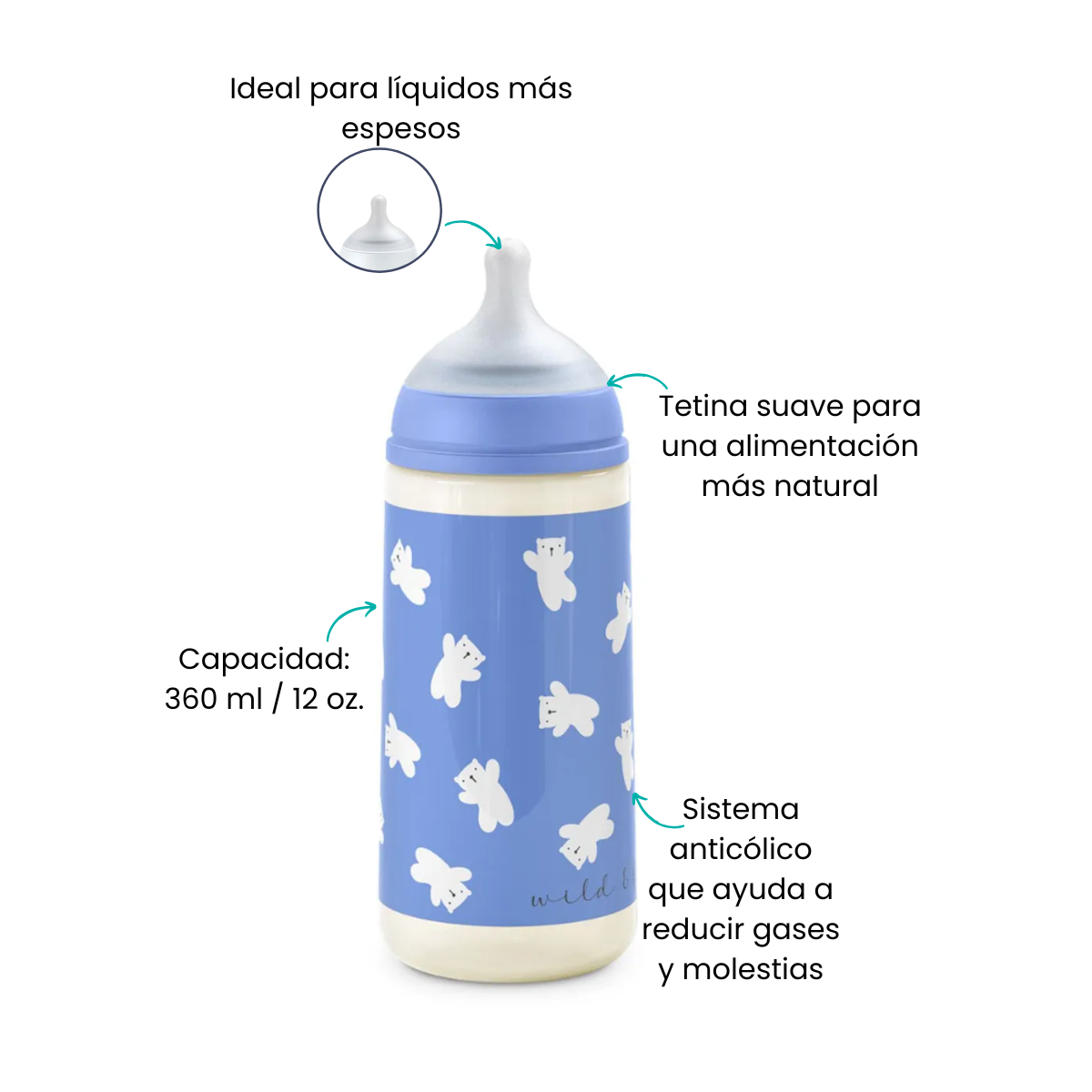 Características