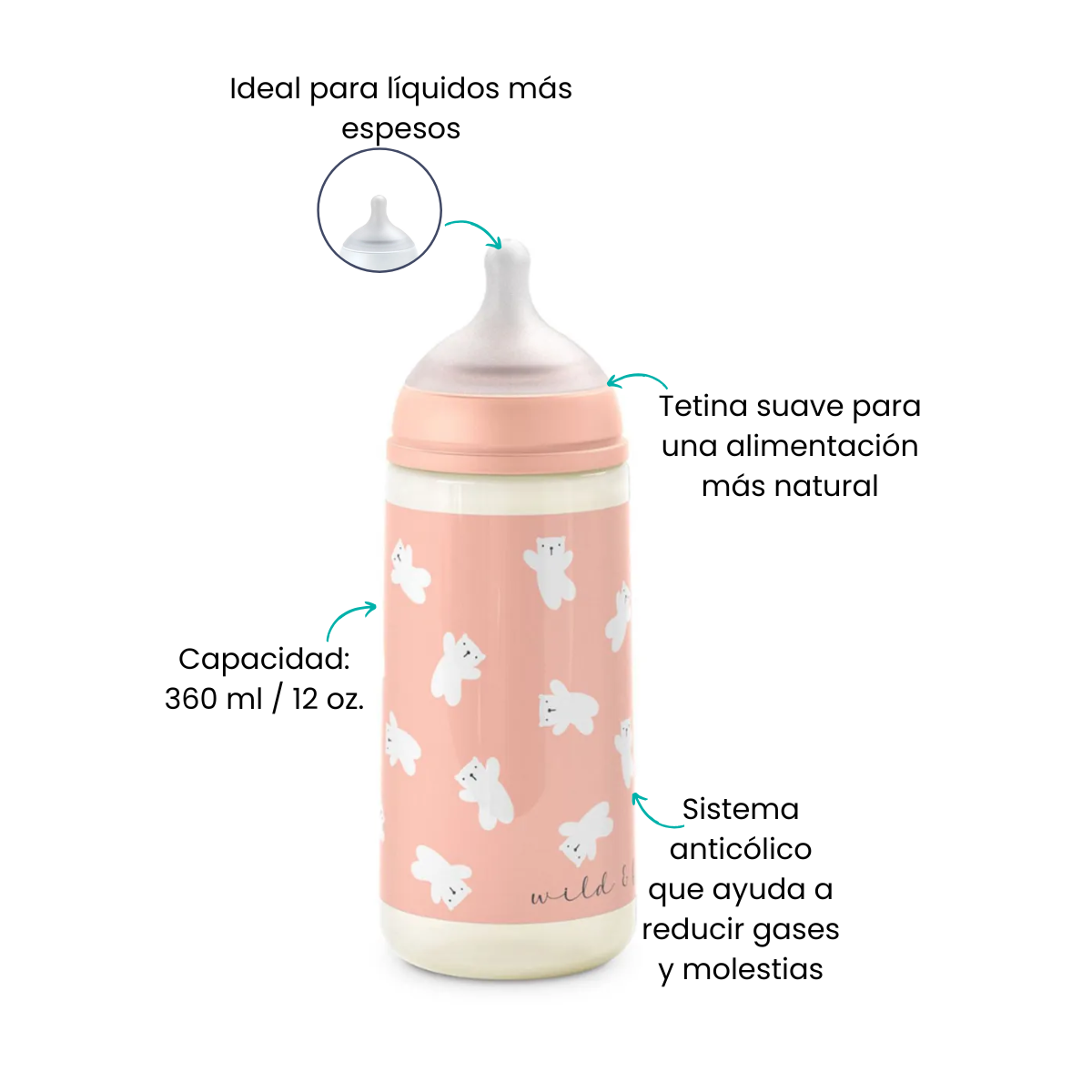 Características