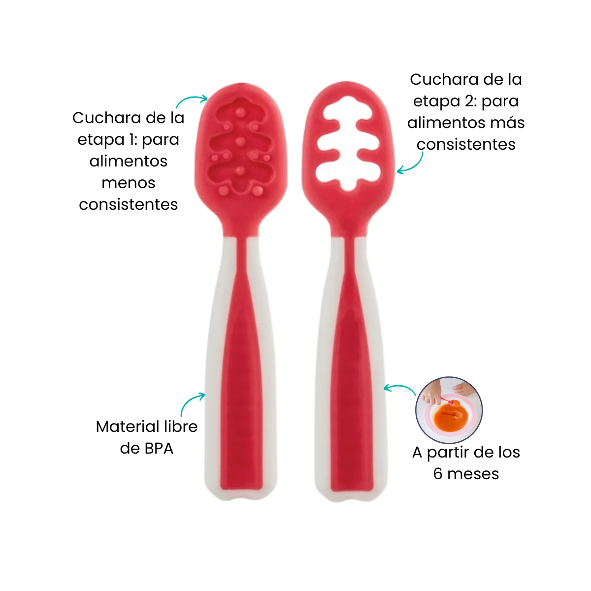Características