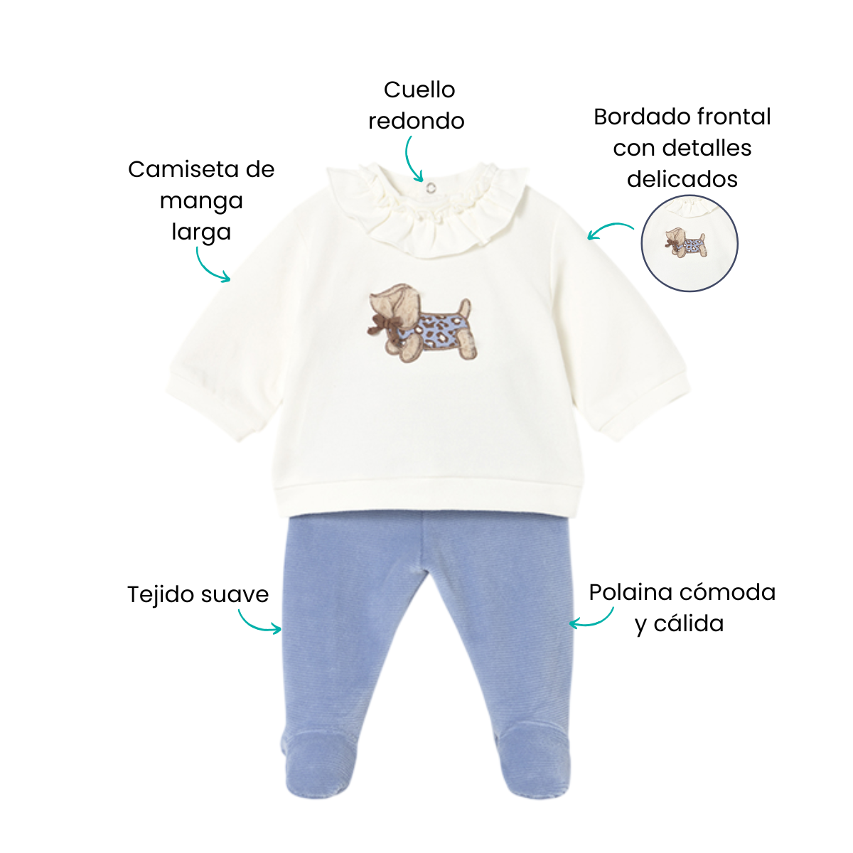 Características