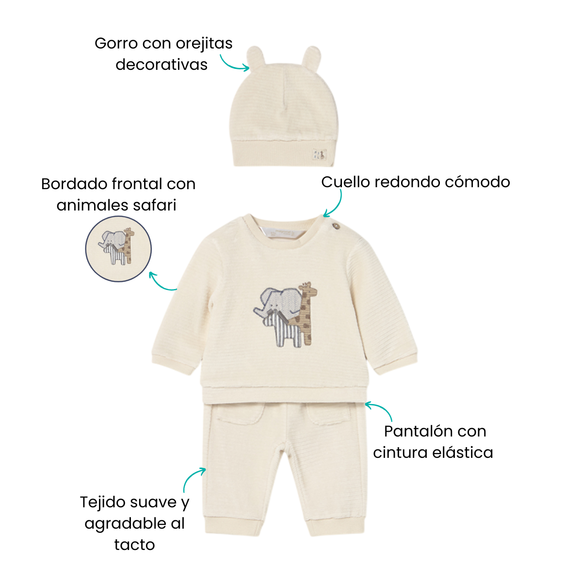 Características