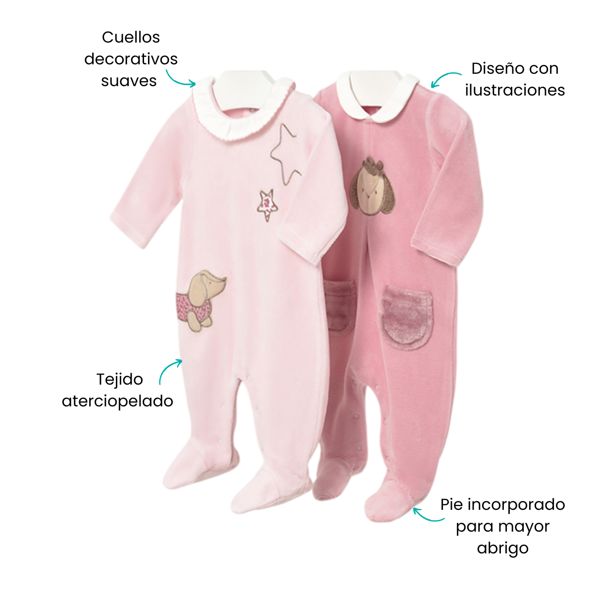 Características