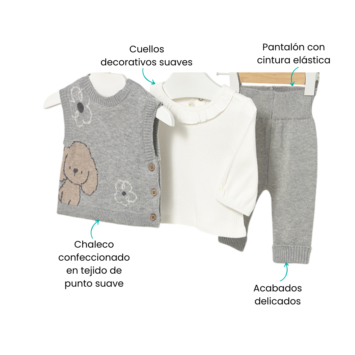 Características