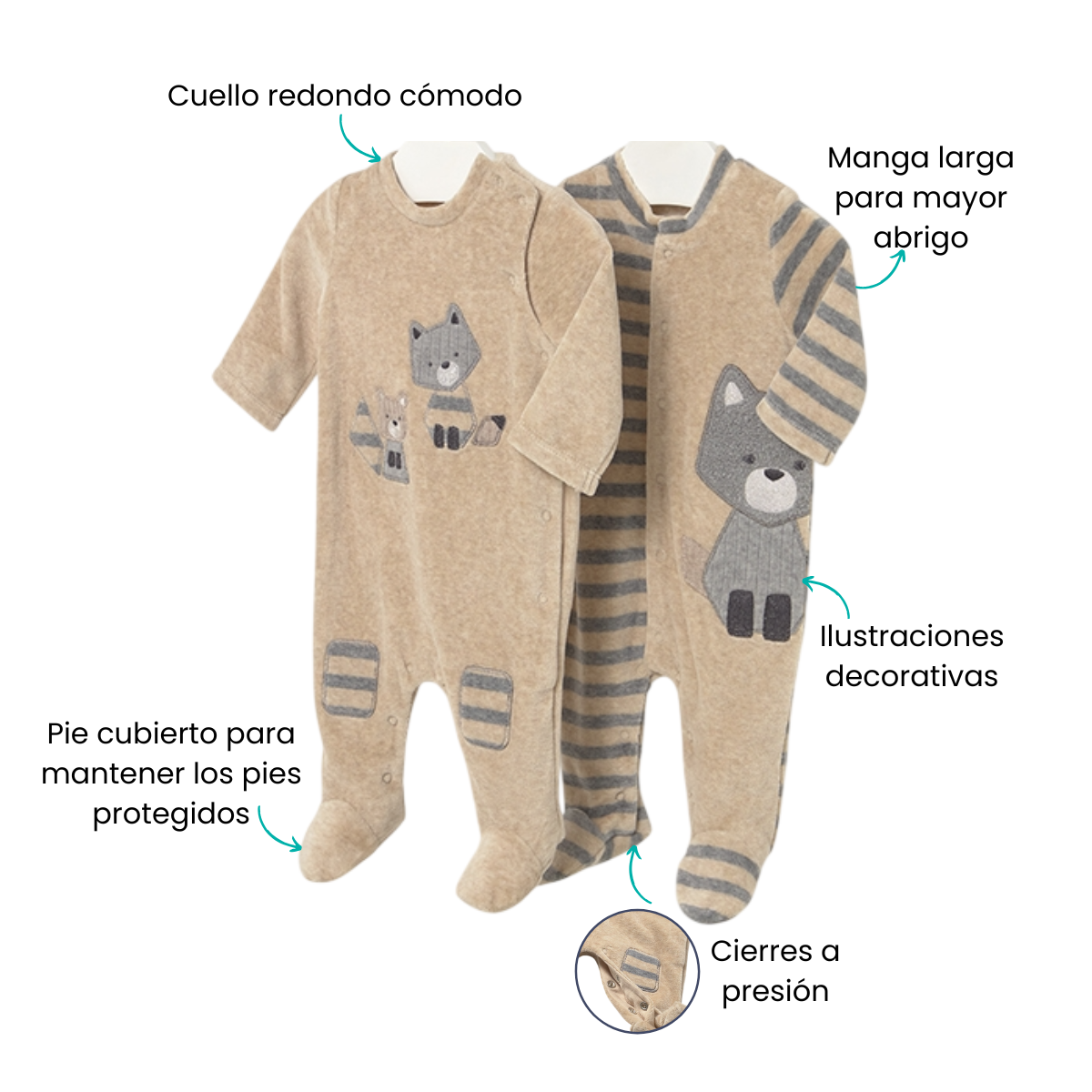 Características