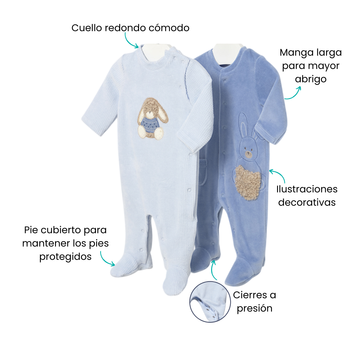 Características
