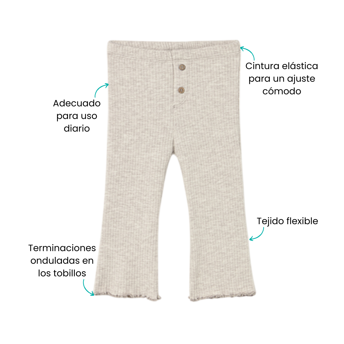 Características