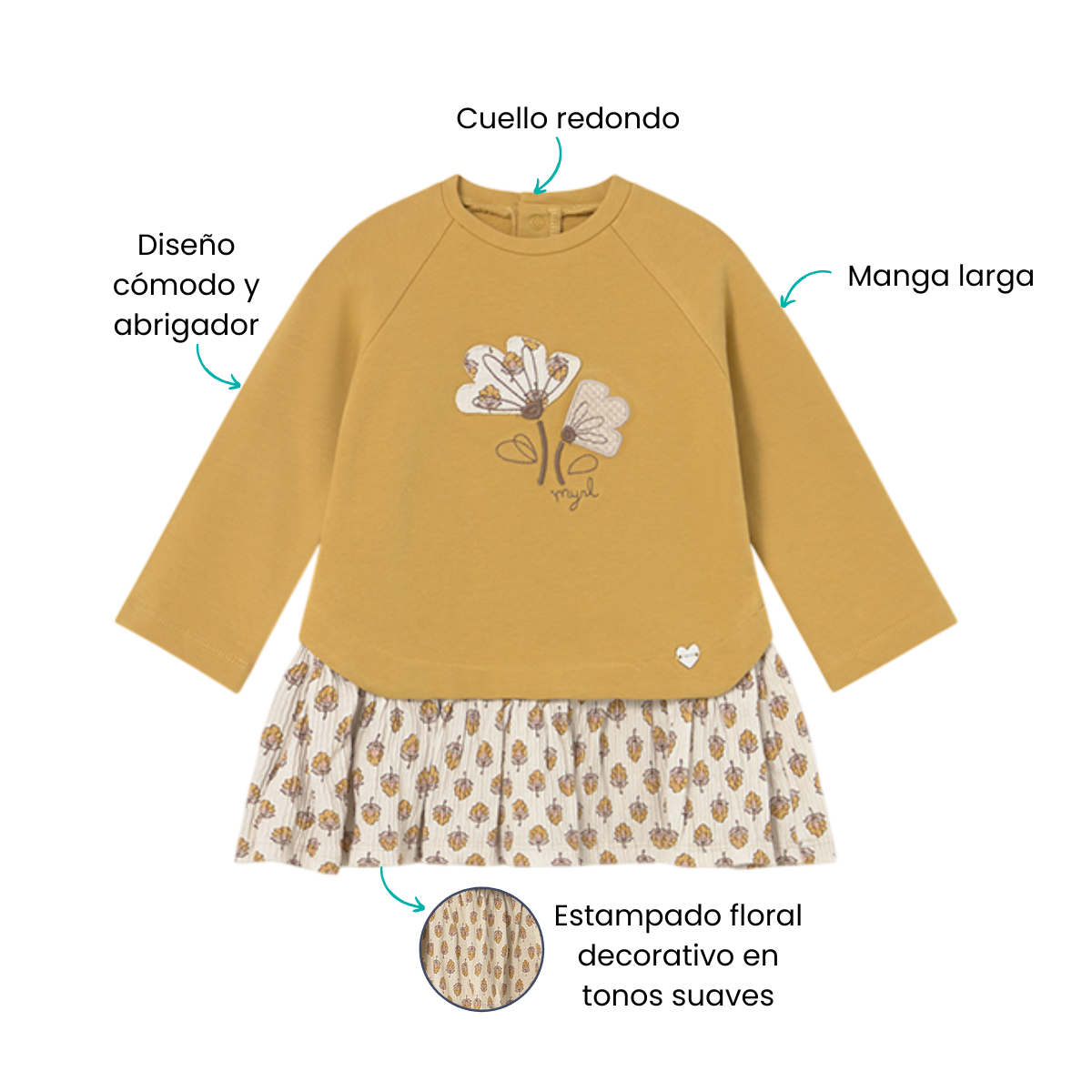 Características
