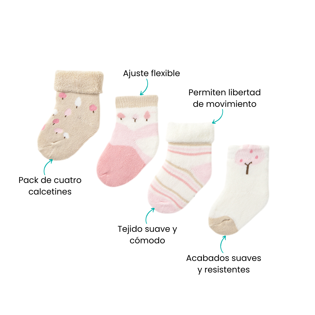Características