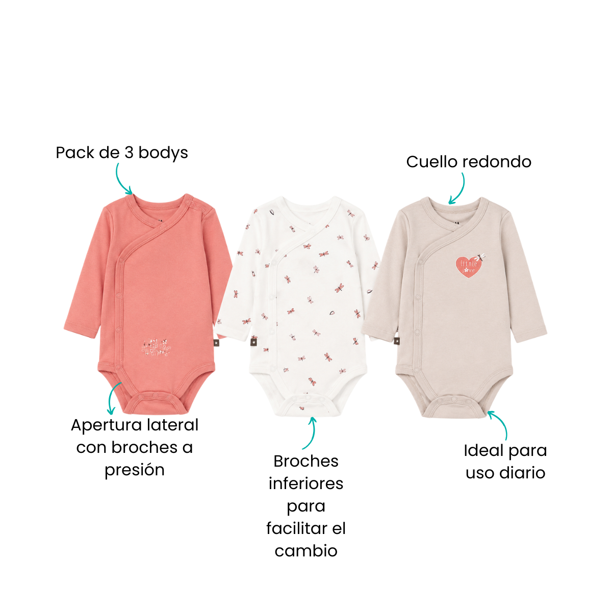 Características