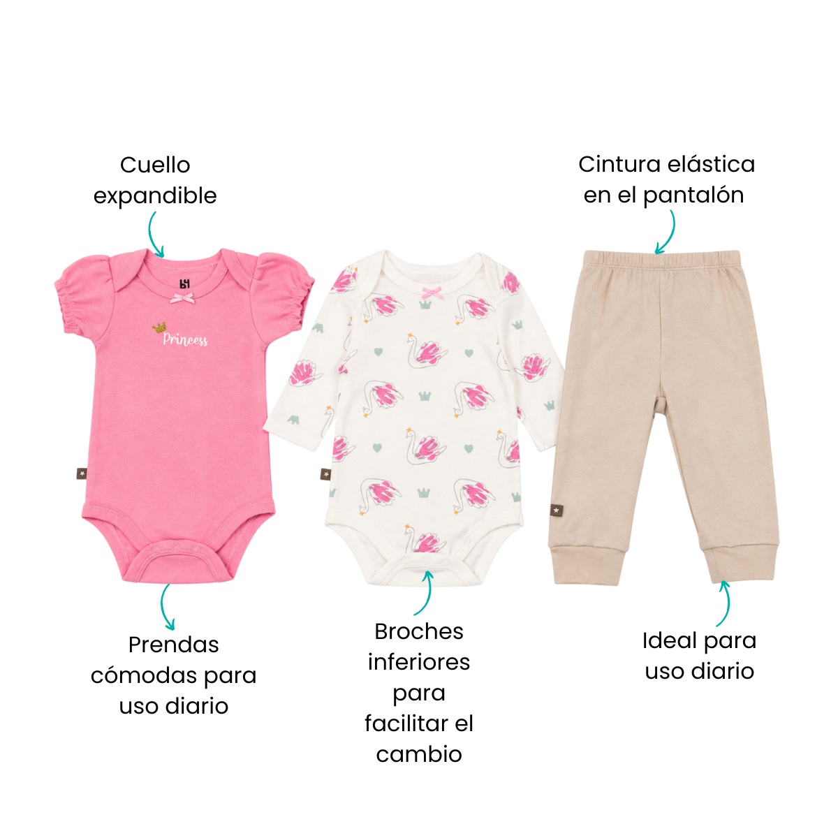 Características
