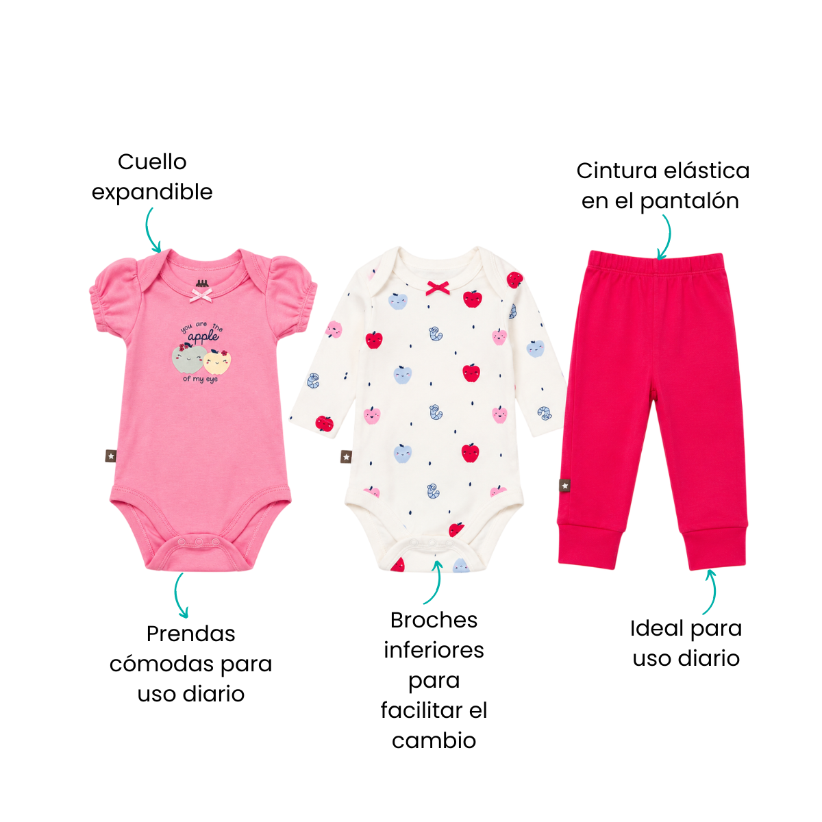 Características