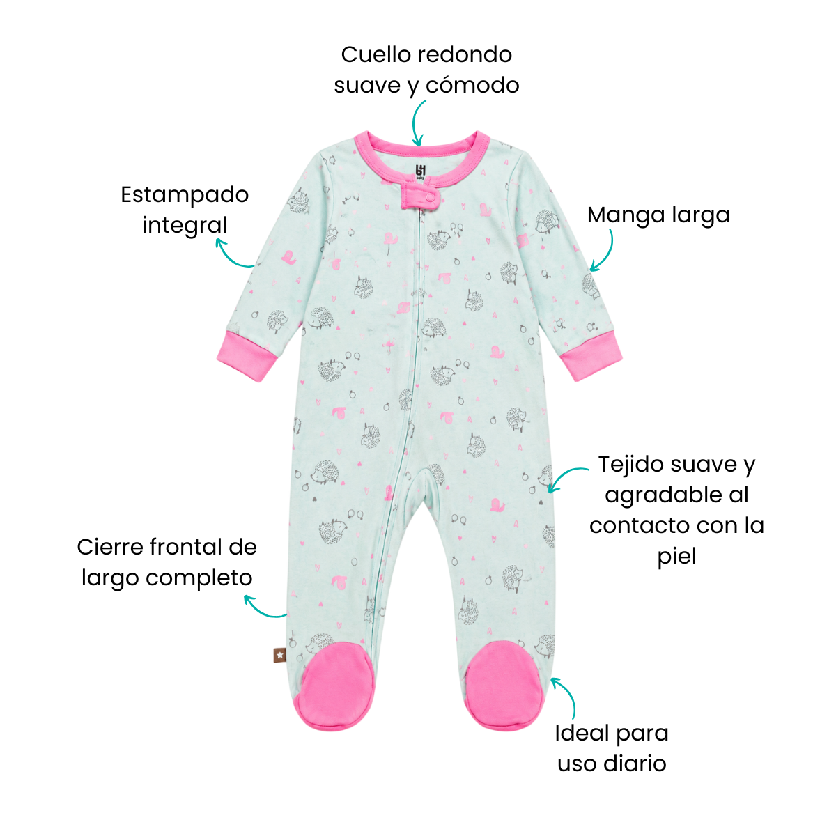 Características