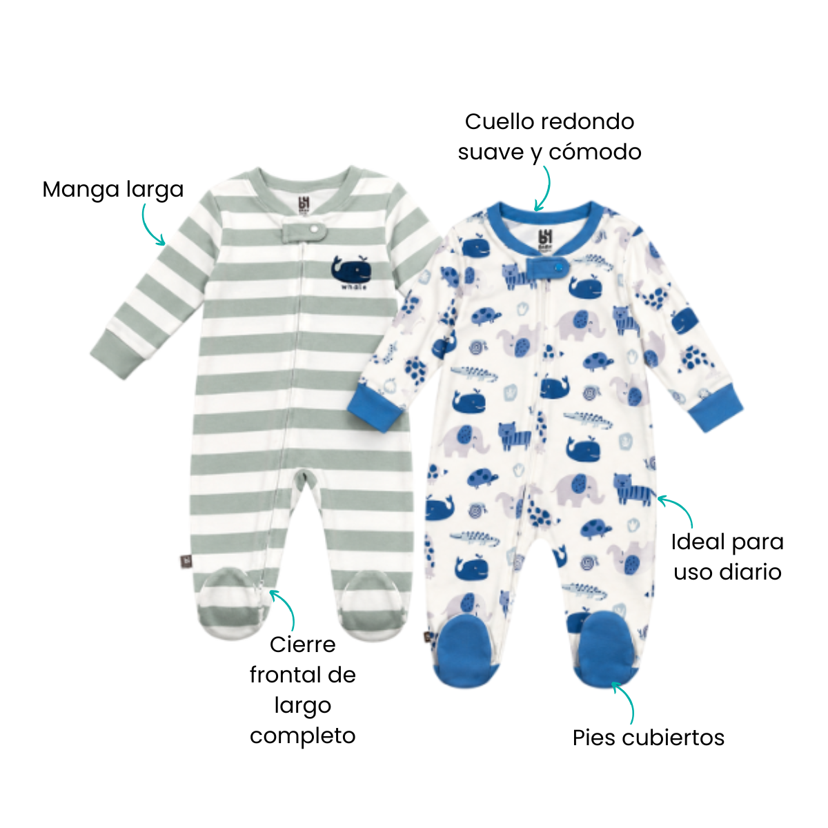 Características