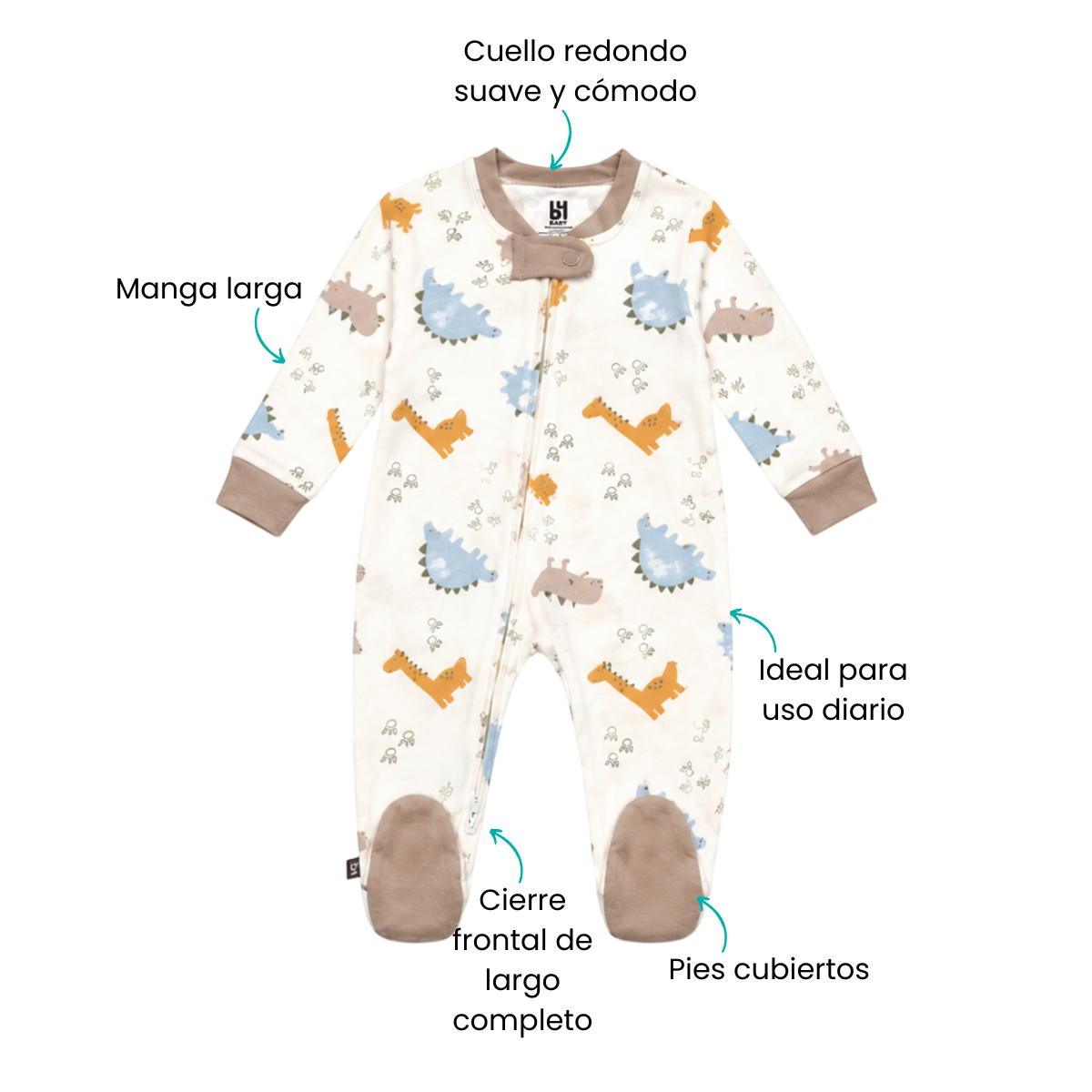 Características