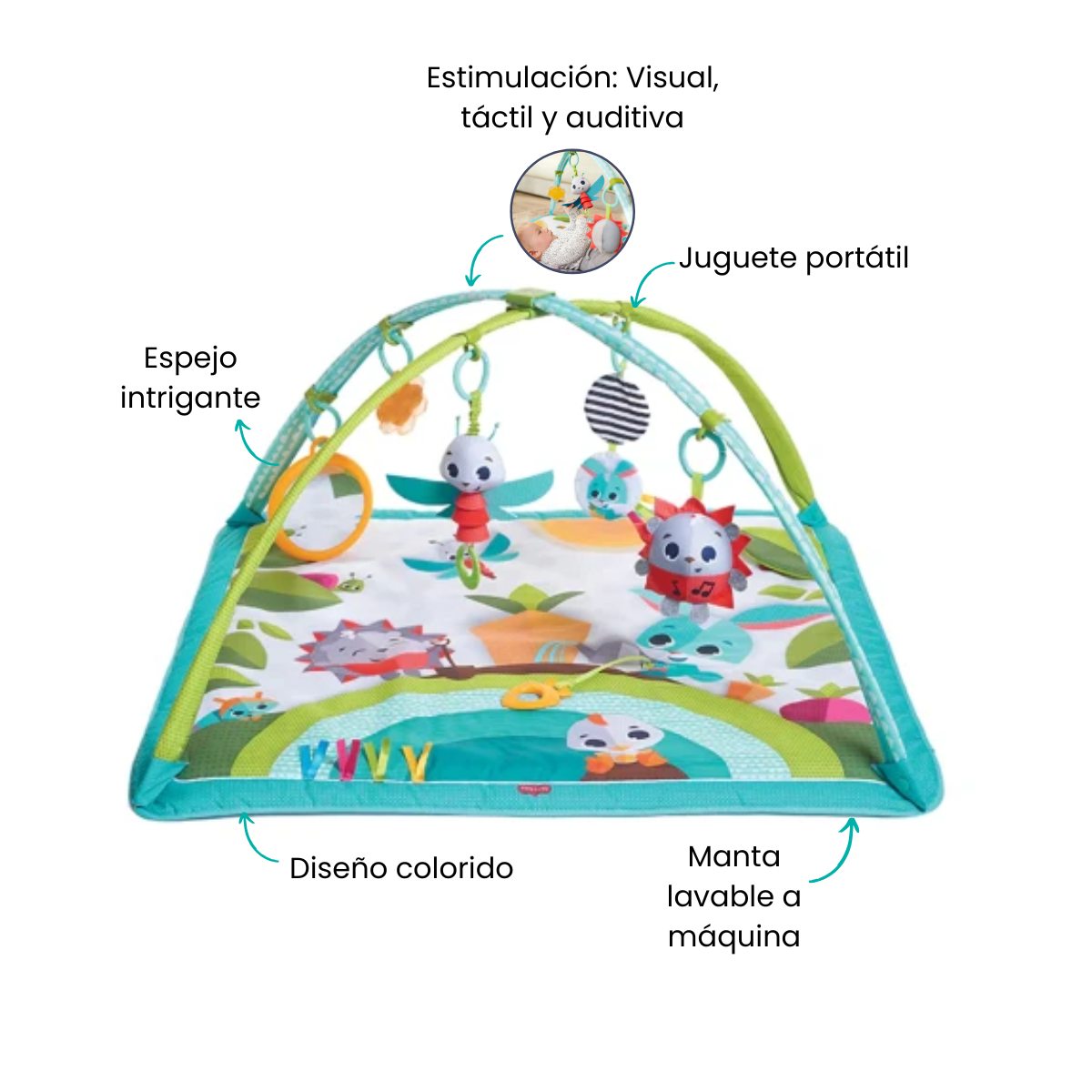 Características