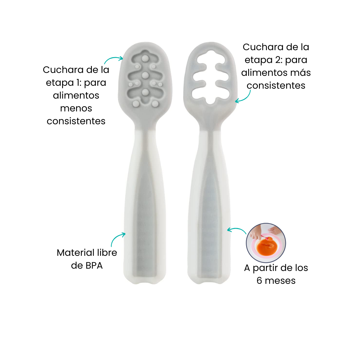 Características