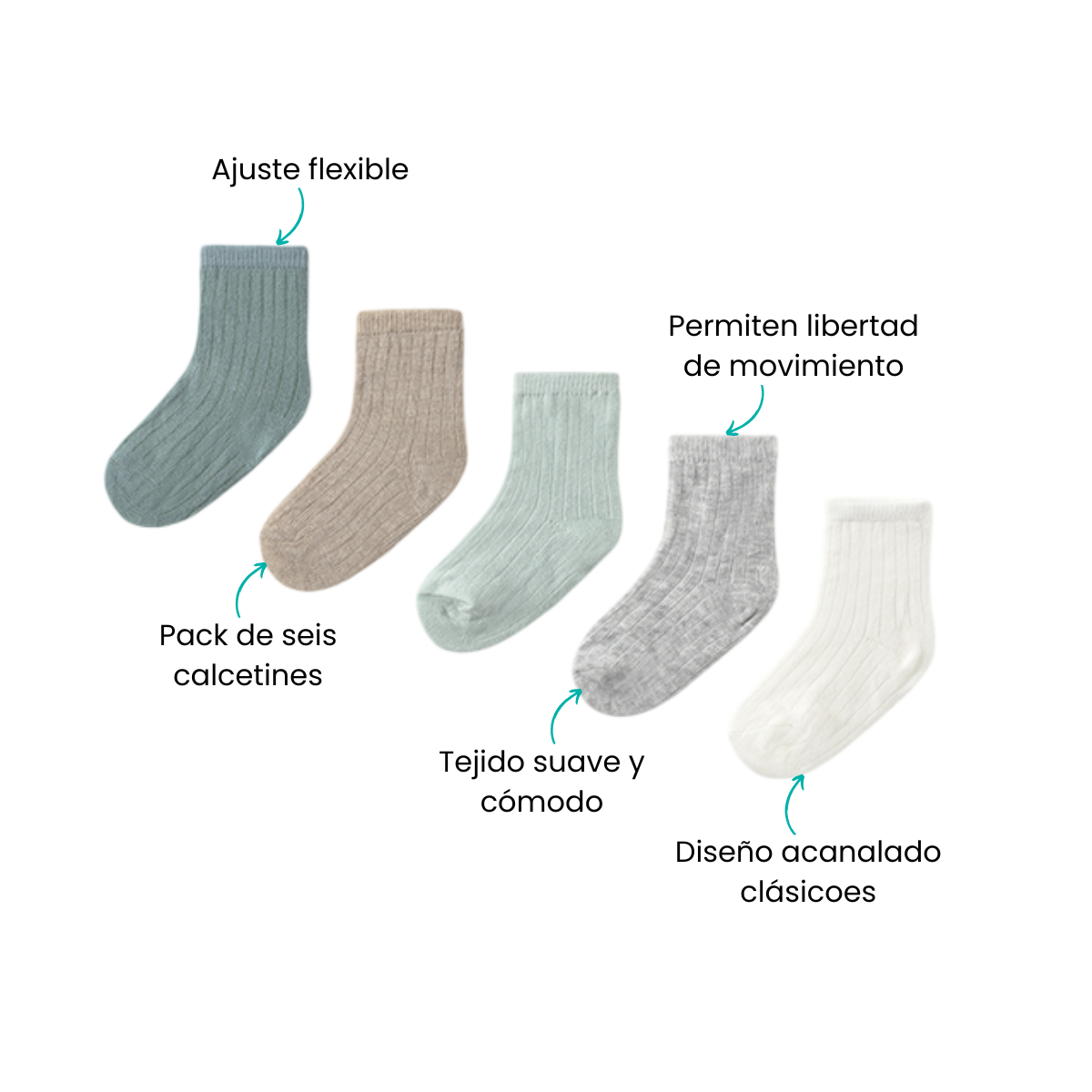 Características