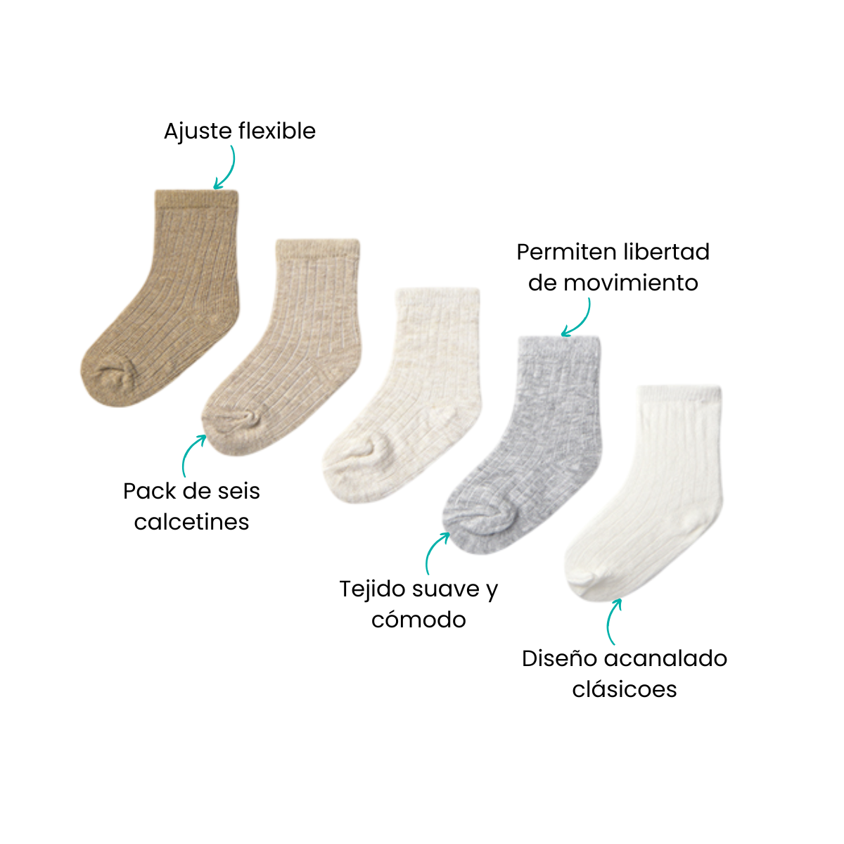 Características