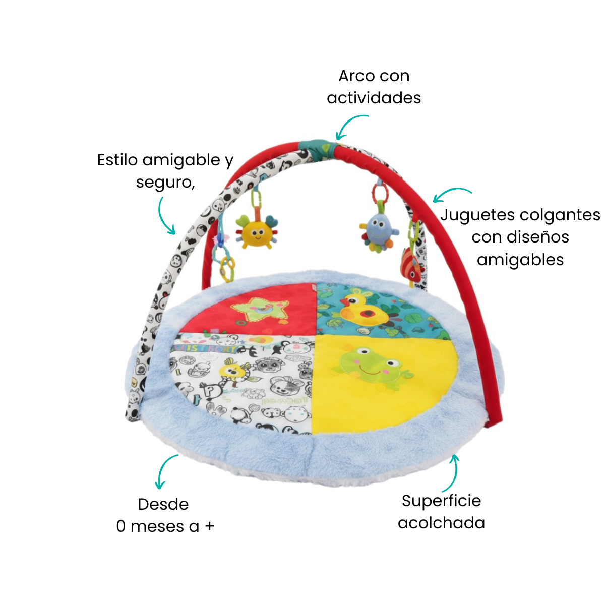 Características