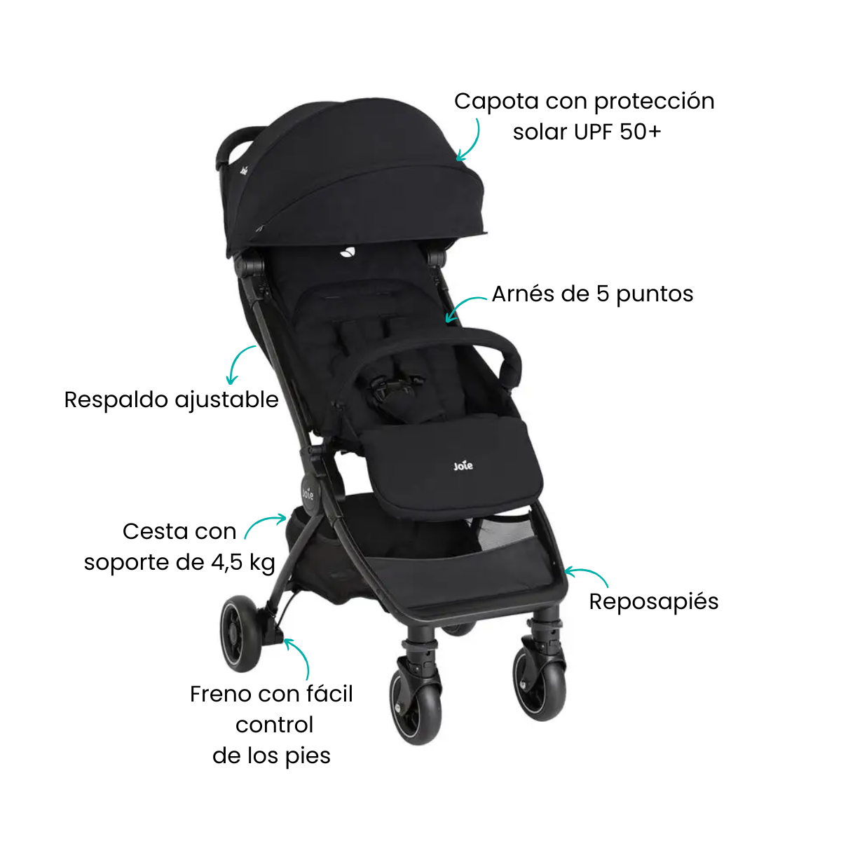 Características