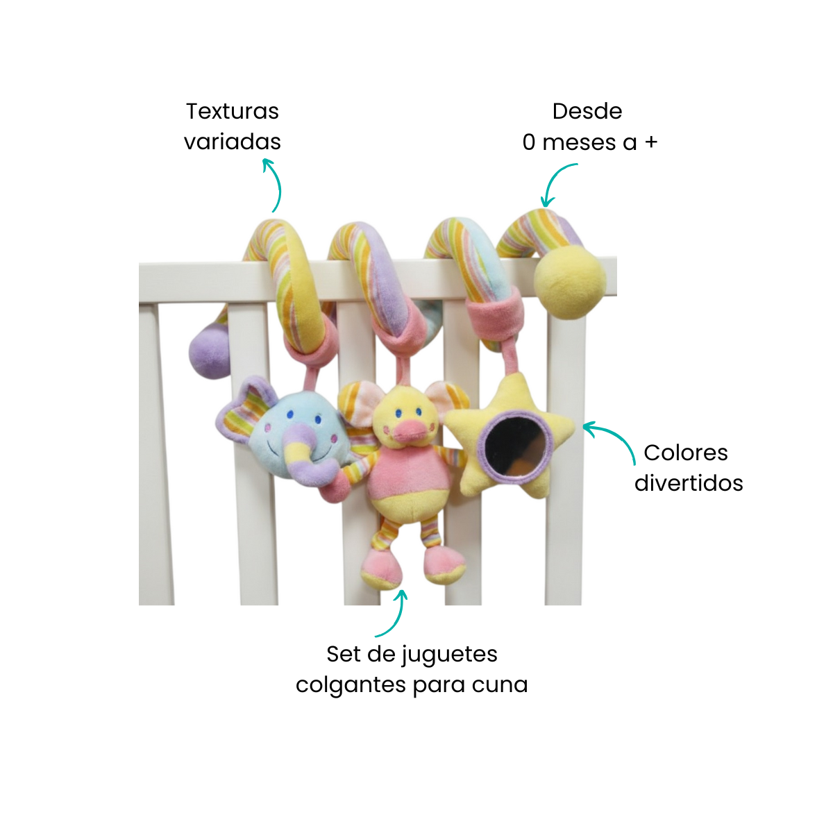 Características