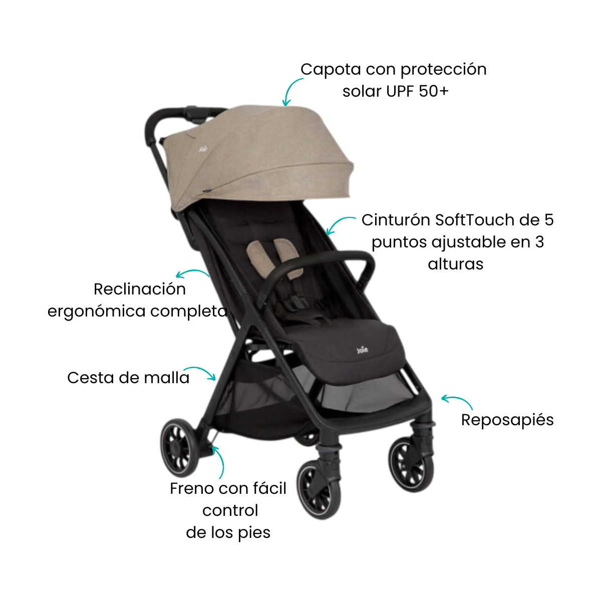 Características