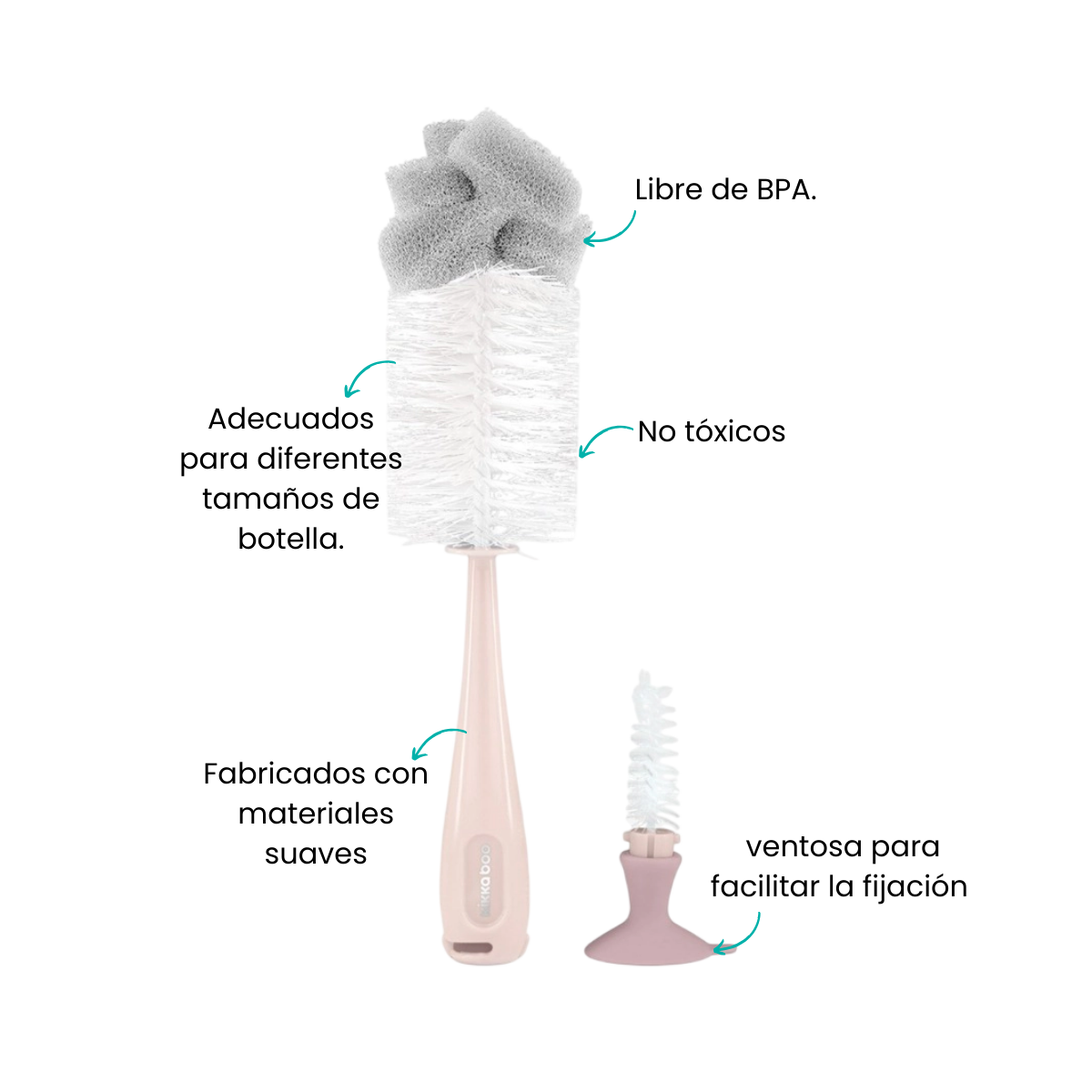 Características