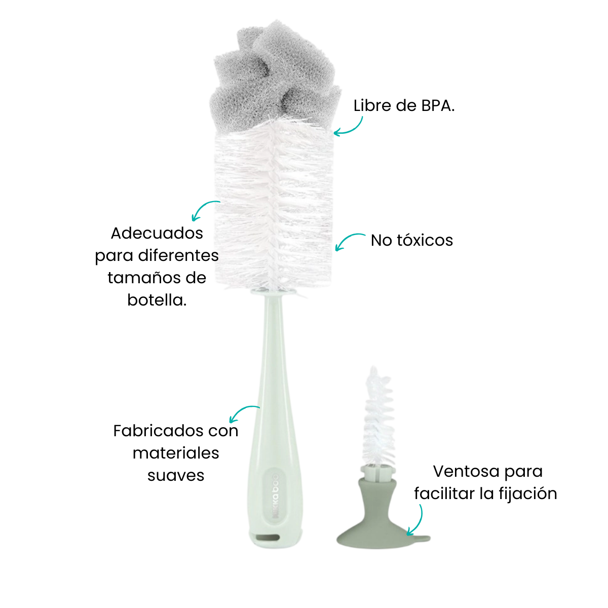 Características