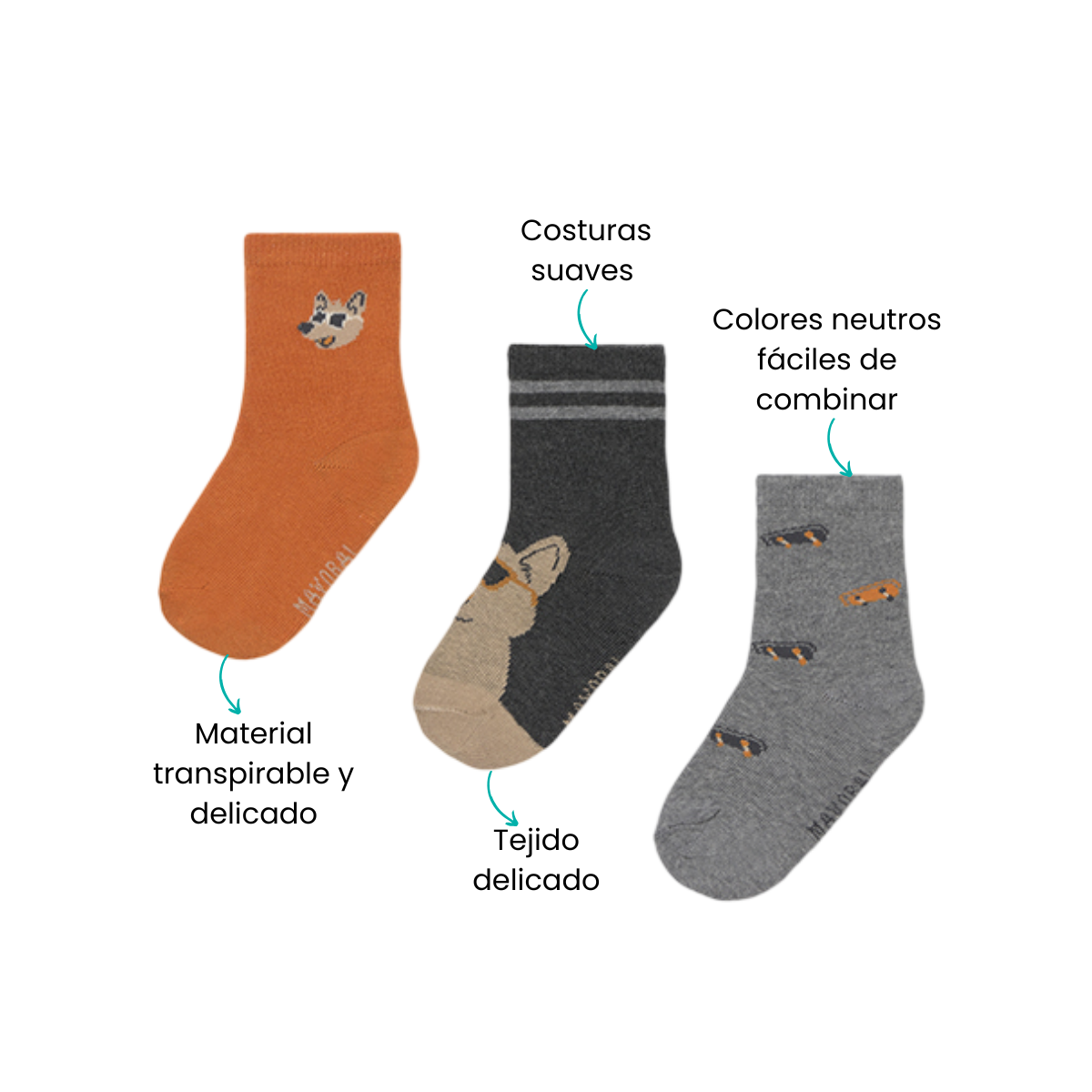 Características